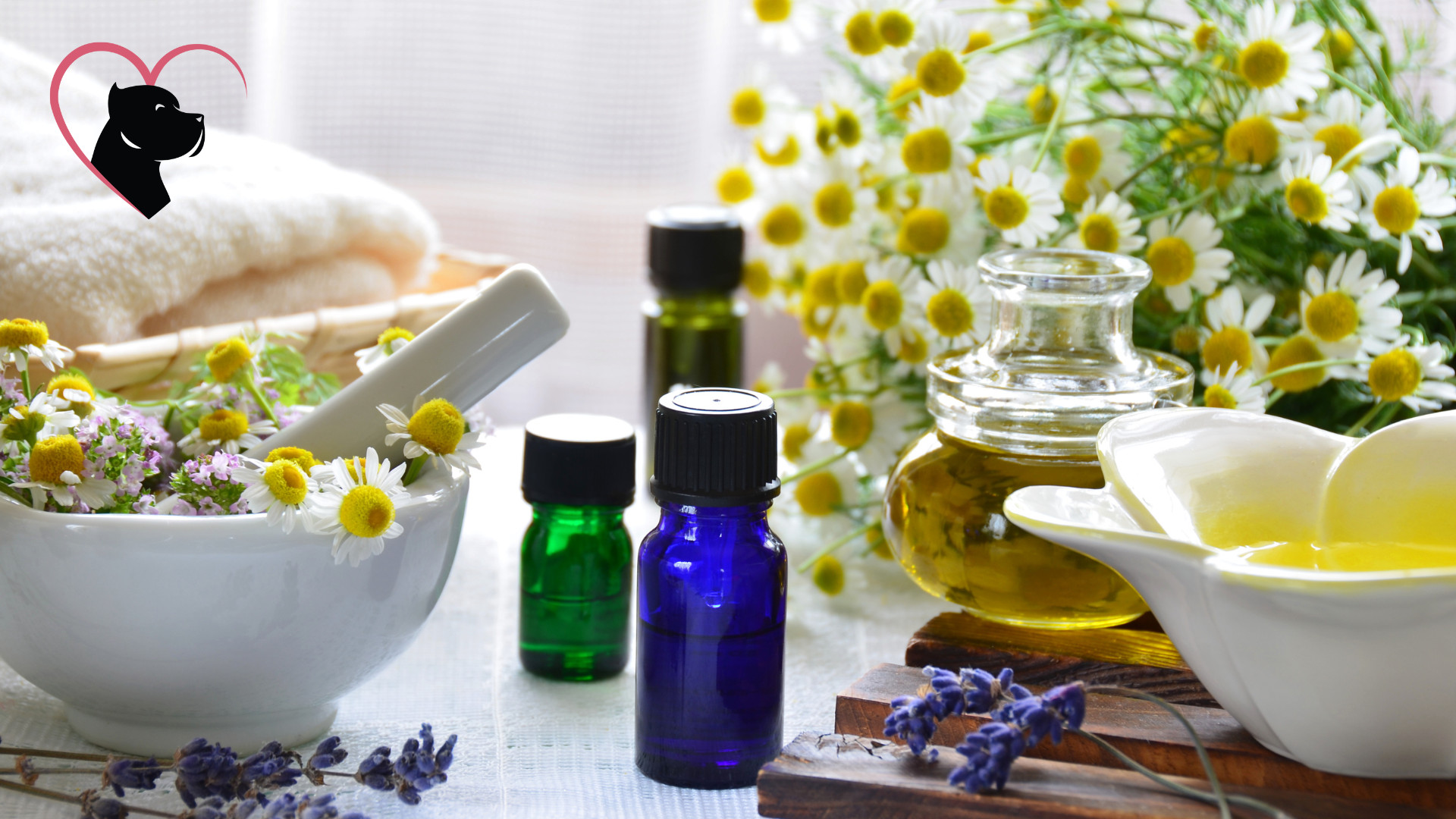 Essential oils for aromatheraphy treatment