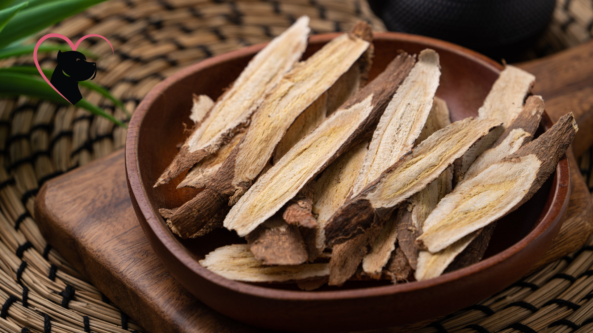 Astragalus root