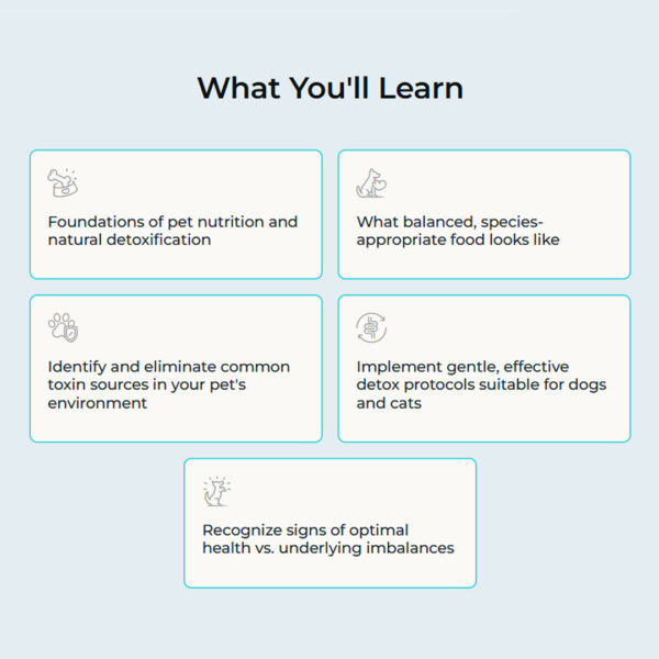 Root Level Wellness: Diet & Detox Essentials LIVE Online Class - Image 3