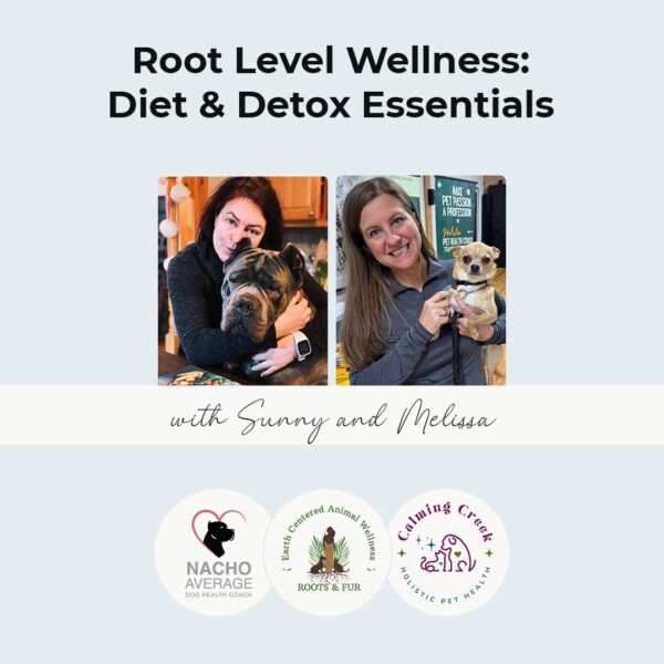 Root Level Wellness: Diet & Detox Essentials On-Demand Online Class