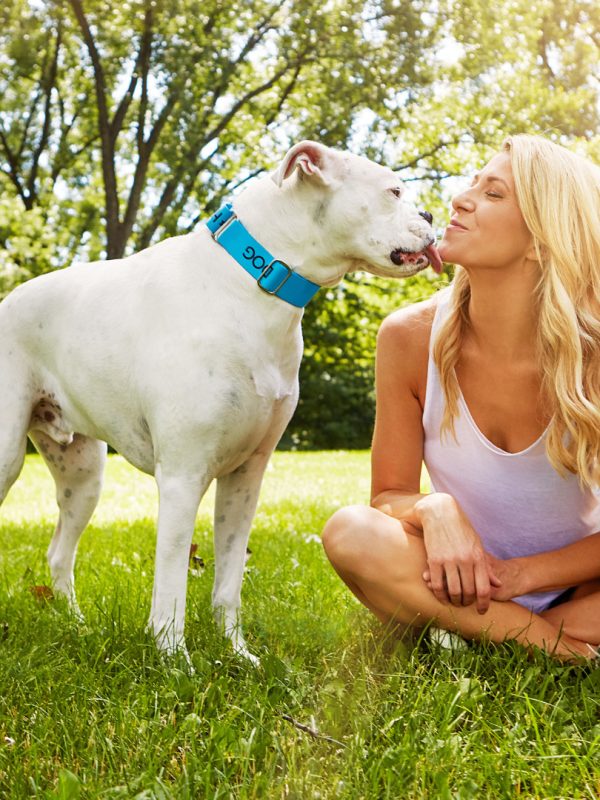 Dogs and holistic dog health coach